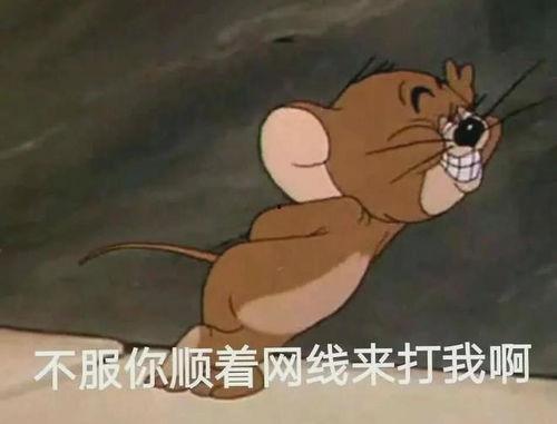 最新爆料老鼠,老鼠生成背后的科技秘密与伦理争议  第3张