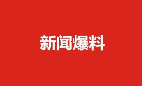 爆料新闻小说在线阅读全文,爆料新闻背后的真相与秘密  第2张