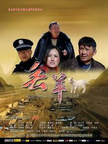 兰州电影丢羊在线观看,探寻都市边缘的温情与困境  第3张