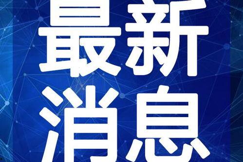 刘大锤最新爆料杨九郎视频,杨九郎最新视频幕后真相曝光  第3张